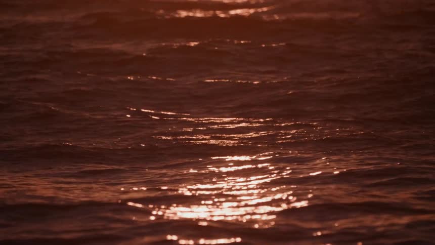 Light of sunset glistens on rippling ocean waves