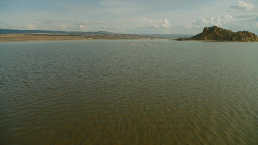 Birds fly over a lake