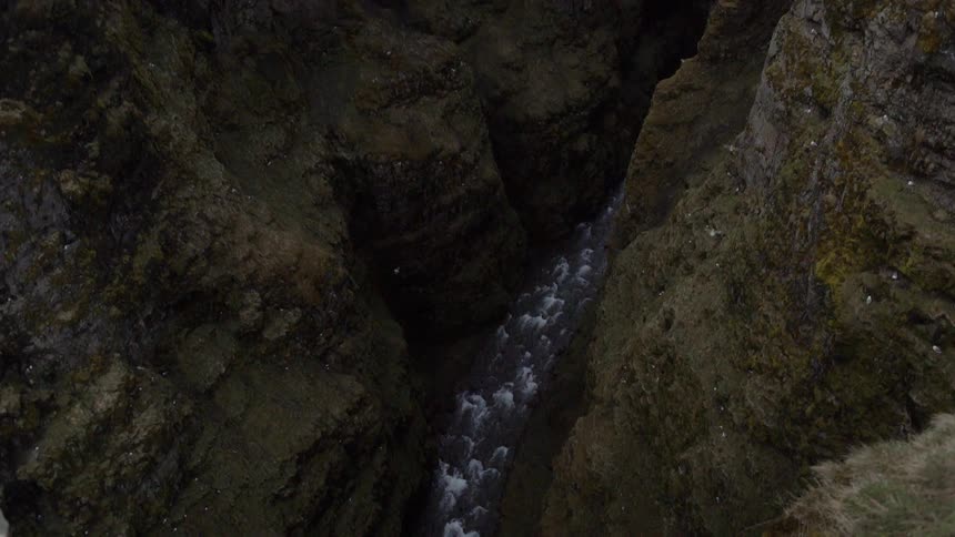 Birds fly inside a cavern above a stream