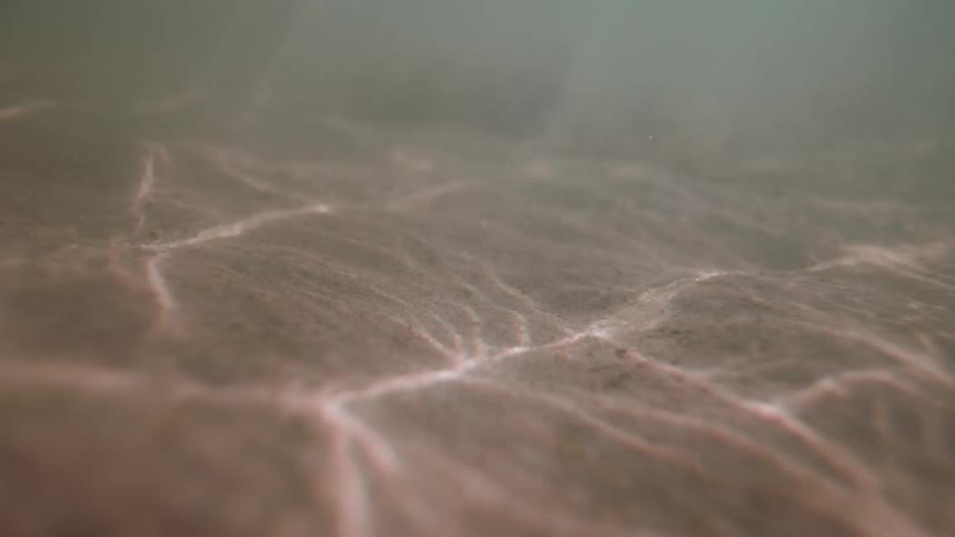 Water flows quickly and sun shines through it