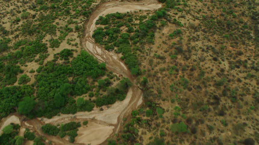 Trees and bushes cover the landscape near a dried up stream