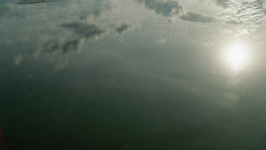 Birds fly low over a still lake