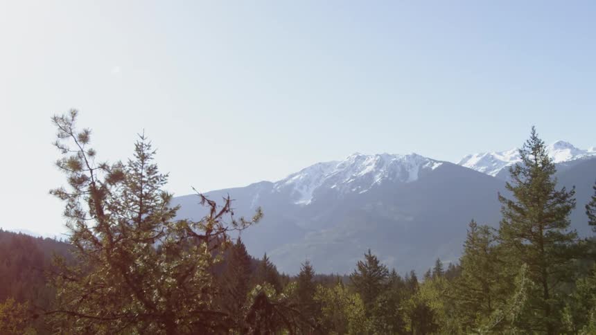 Snow covered mountains behind forest of trees