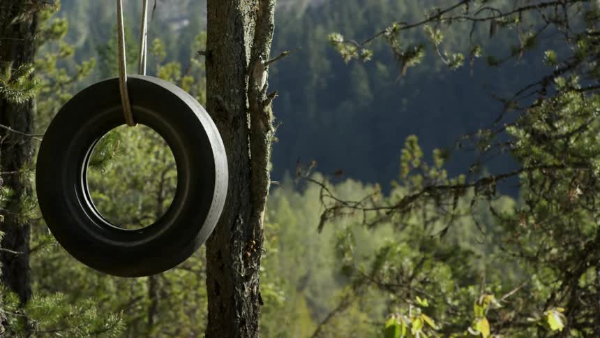 An old tire is hanging from a tree in a natural setting during the day