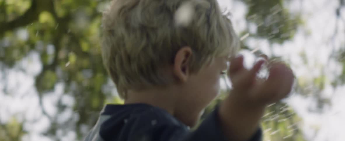 Blossoms fall around a young boy in spring