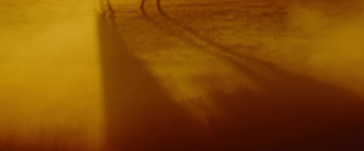 A horse stands in a dusty field