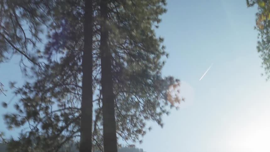 An airplane is leaving a vapor trail is it flies in the sky above a forest on a sunny day