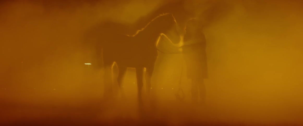 A person and a horse stand outside in yellow light at night