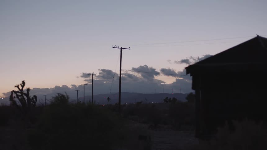 Brush blows in the wind on a rural road at sunset