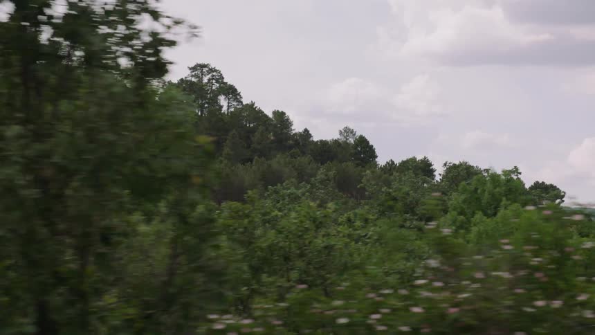 Trees cover a rural landscape
