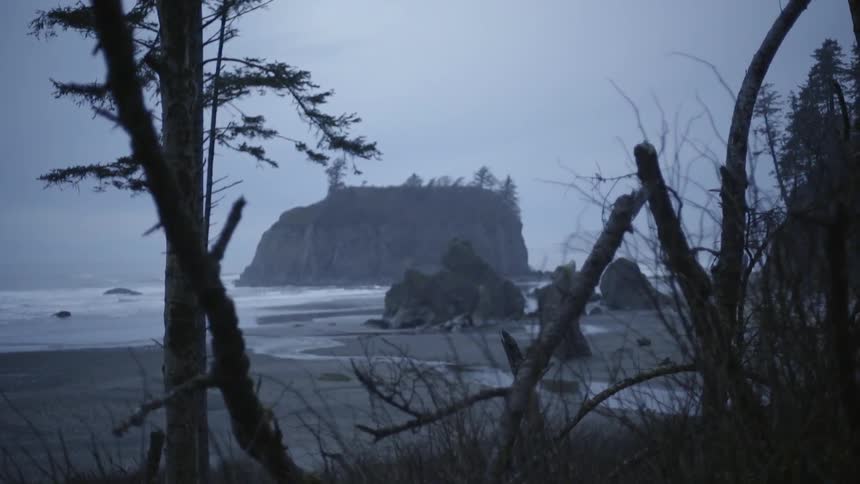 View behind trees to a beach with one cliff