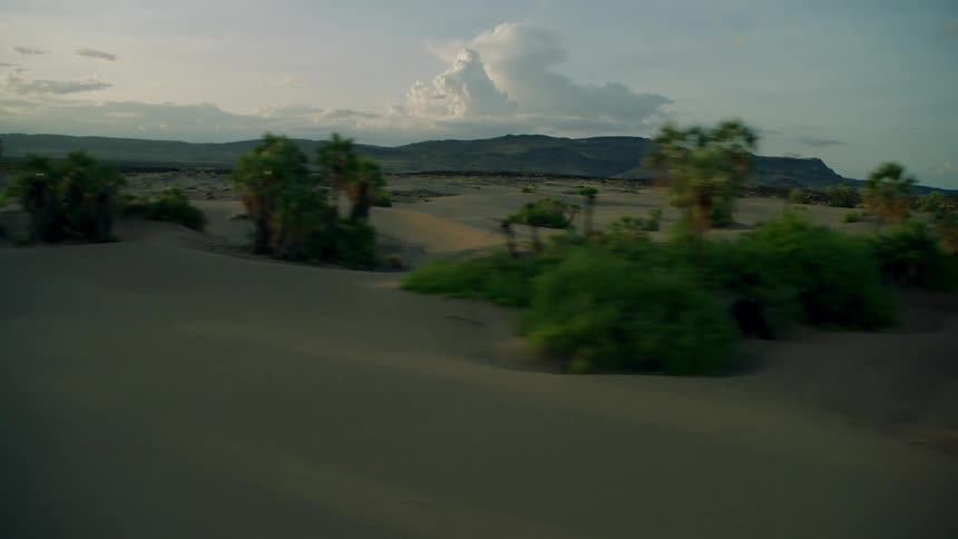 Trees and shrubs cover the landscape