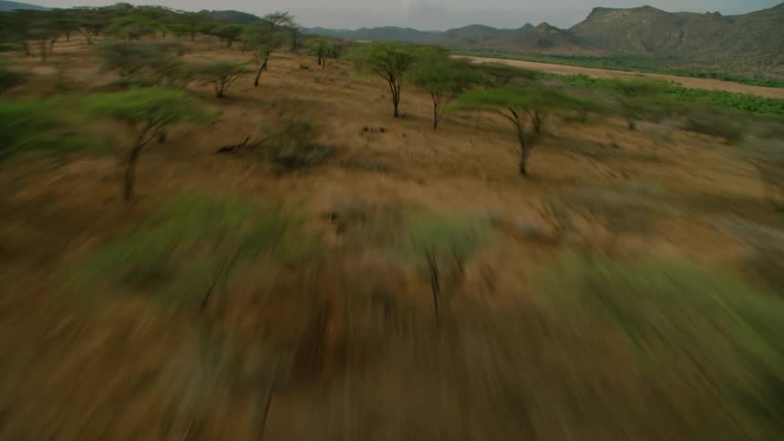 Small trees growing in a hilly area on a cloudy day