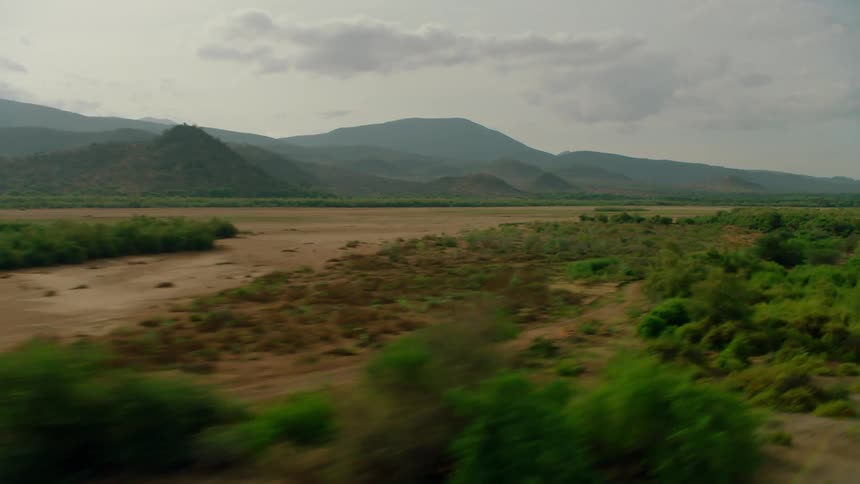 Shrubs and trees cover the open landscape