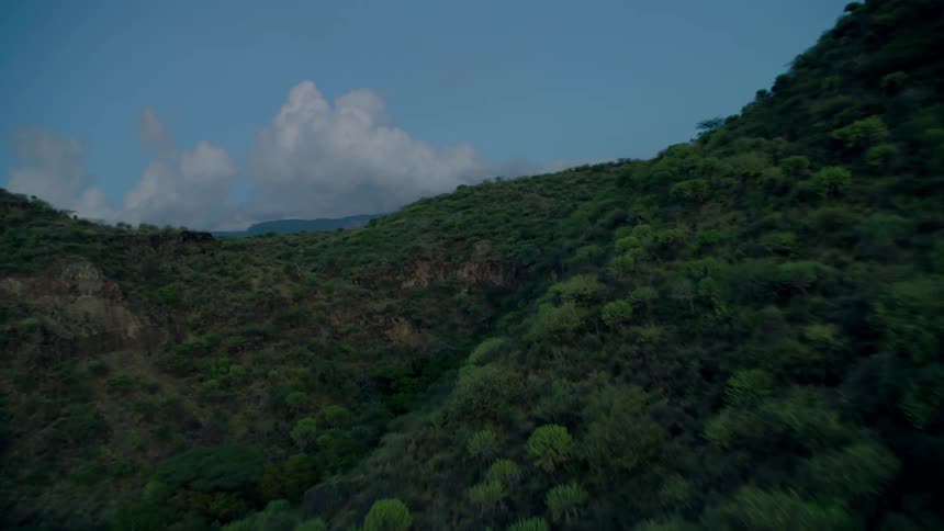 Trees cover a mountain landscape