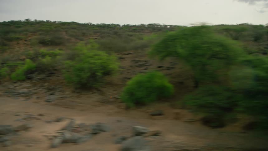 Tree covered hilly sandy land