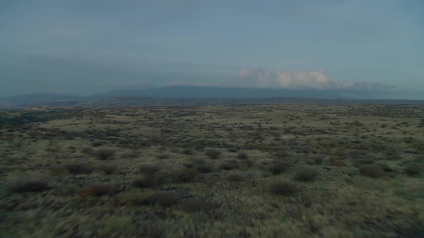 A desert plain spotted with shrubs
