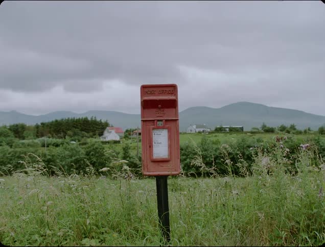 A red box sits near the tall grass