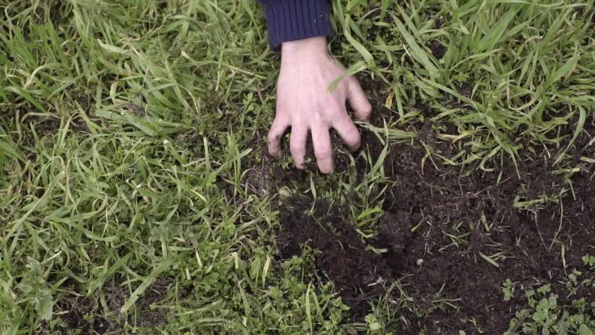 Persons hand drags some dirt from the ground