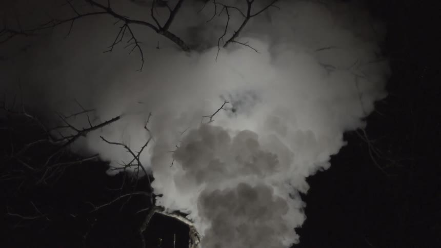 Smoke rising from the base of a tree
