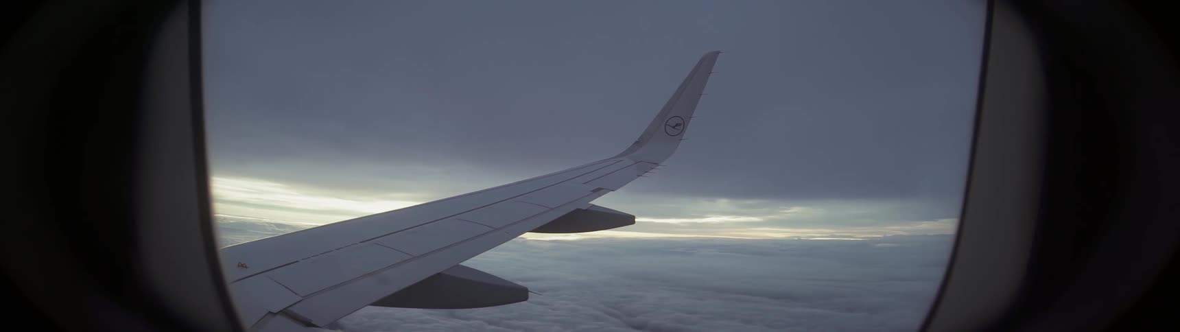 A plane flies in the sky