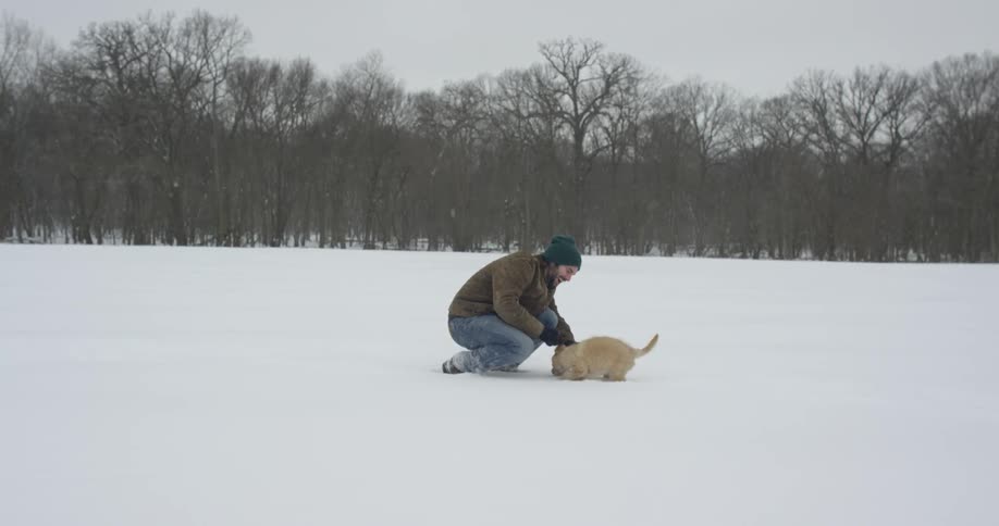 Man walks through the snow towards a dog then pets it