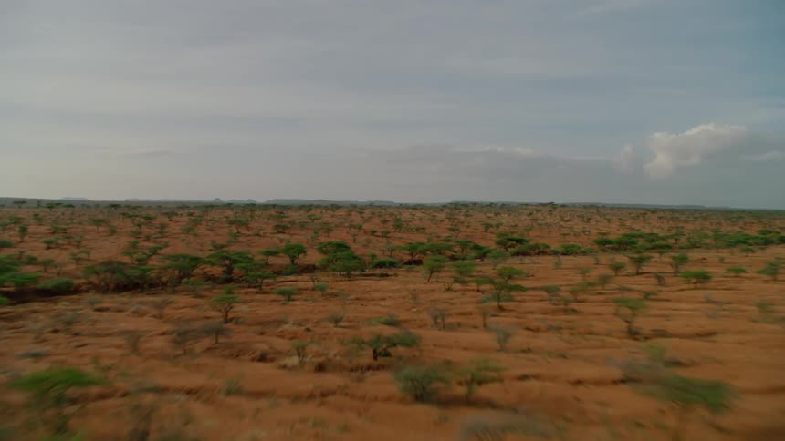 The long field is filled with some trees
