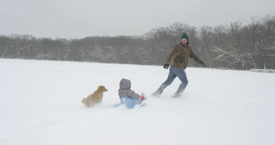 A man pulls a child on a sled while a dog runs alongside them
