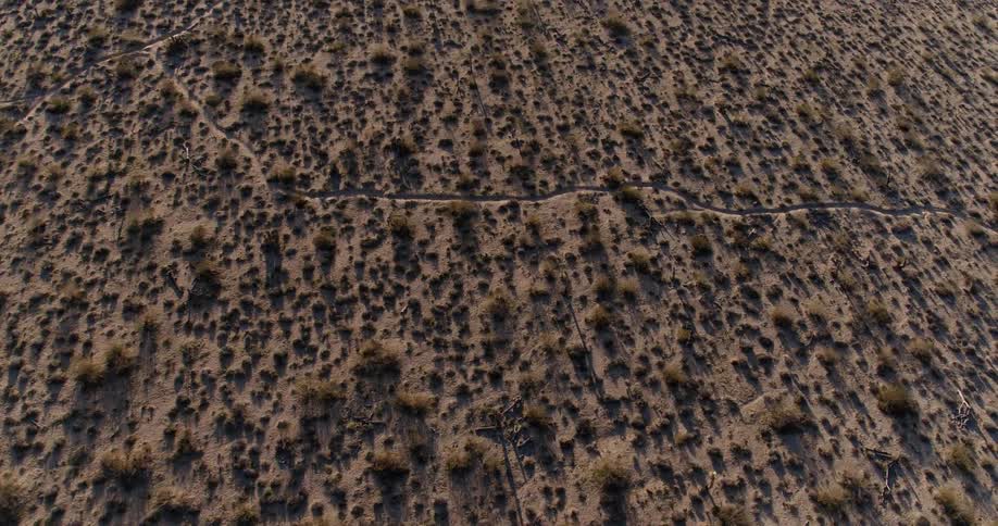 Dirt and shrubs cover a rural landscape