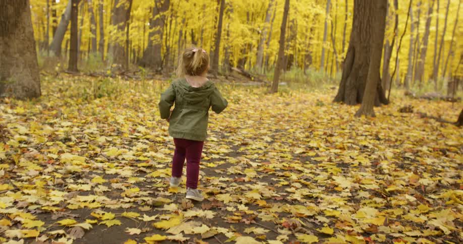 A toddler runs in a forest with fall foliage