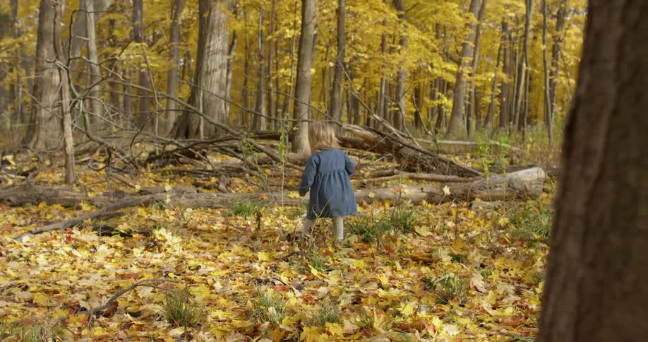 Child runs through the leafy woods