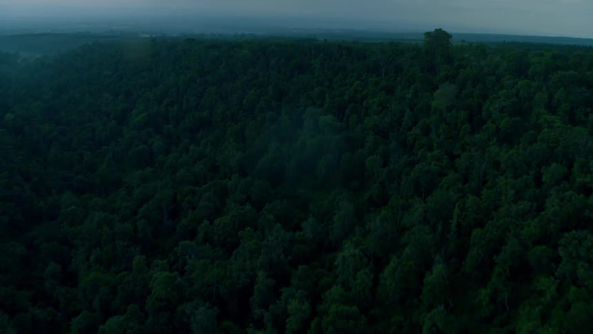 A large green forest is flown over