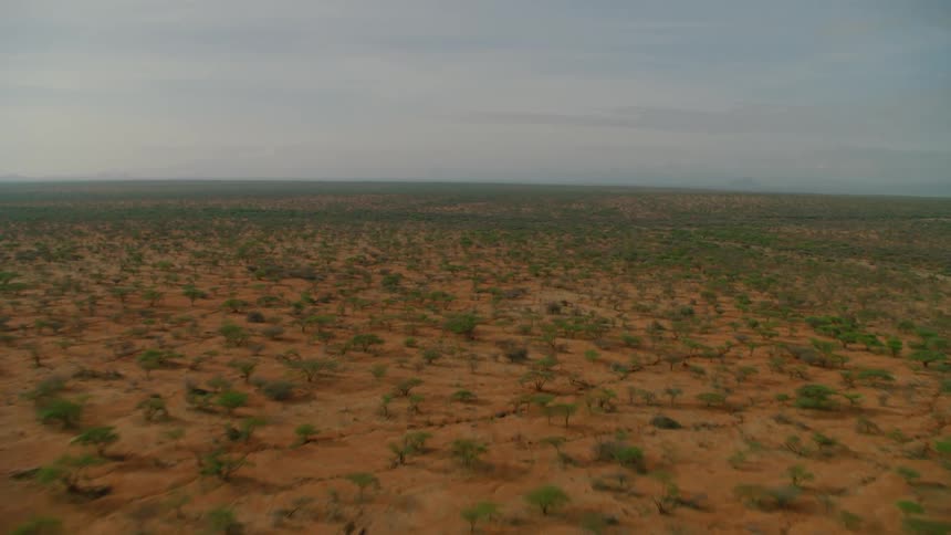 Bushes cover a rural landscape
