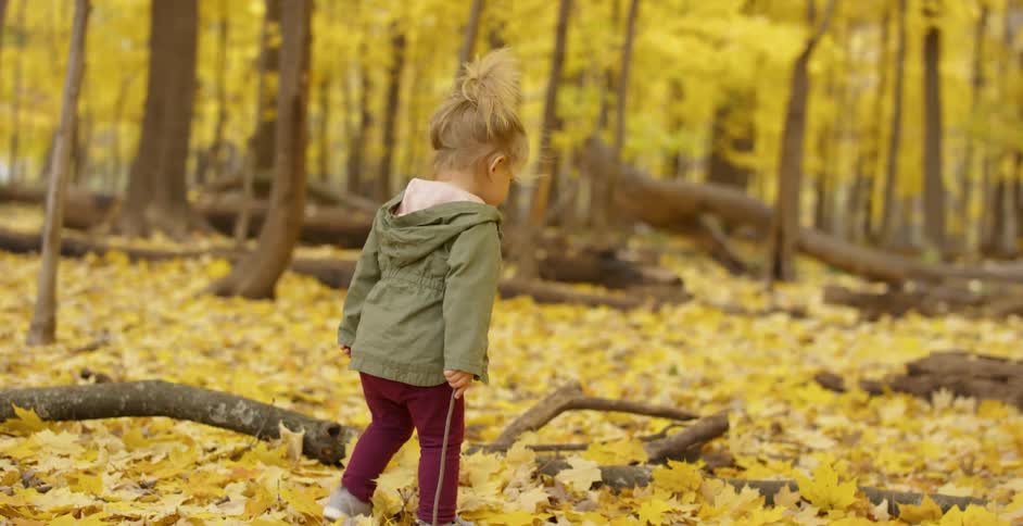 A little girl is exploring a forest on an autumn day