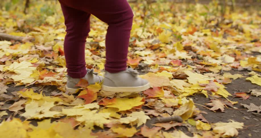 Child runs through the leafy woods