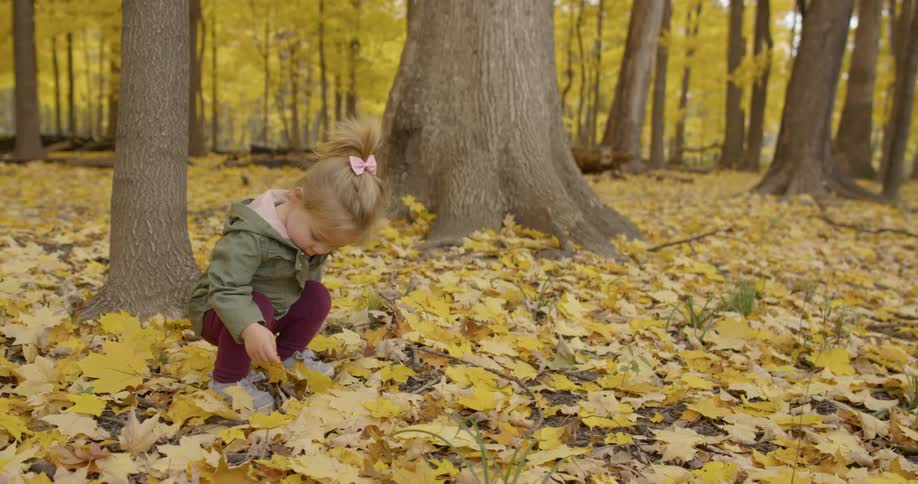 A young child picks up yellow leaves in the woods
