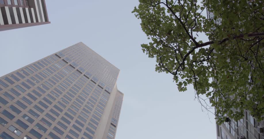 The tall buildings reach up into the sky