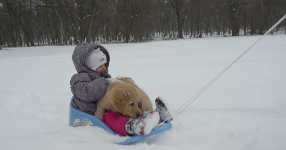 Child and a dog sit on a sled as they are pulled through the snow