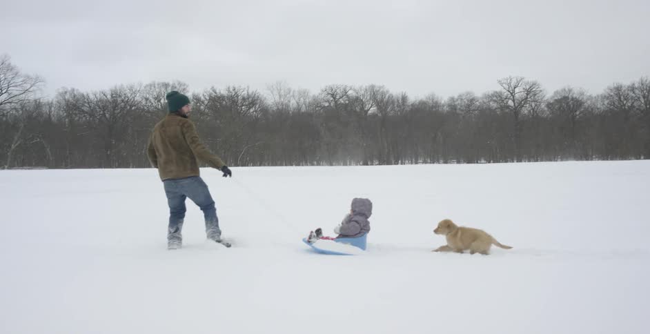 A man pulls a toddler on a sled with a dog running behind