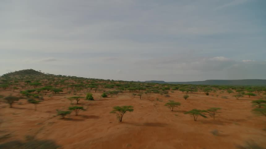 Trees cover a rural landscape