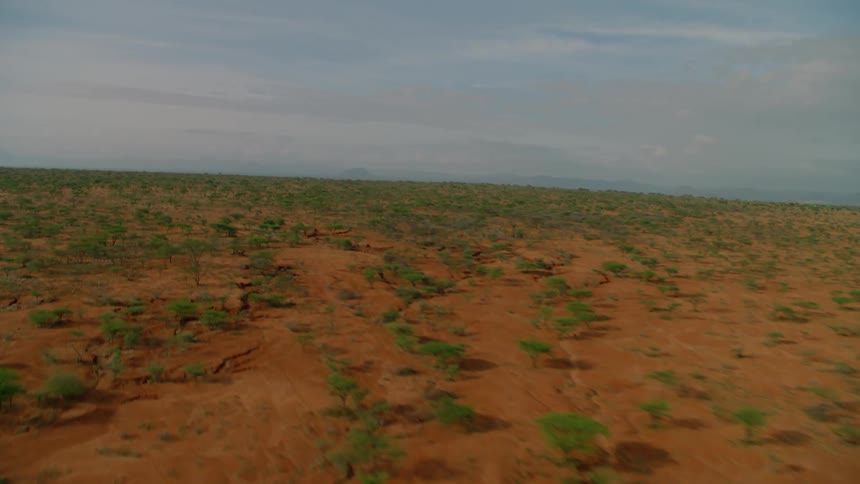 Trees sparsely cover the dirt covered plains