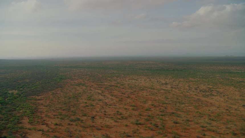 The long field is covered with brown and green