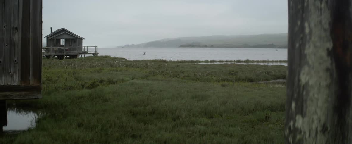 Birds fly near a rural lake