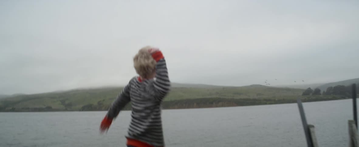 A boy is throwing rocks into a lake from a dock