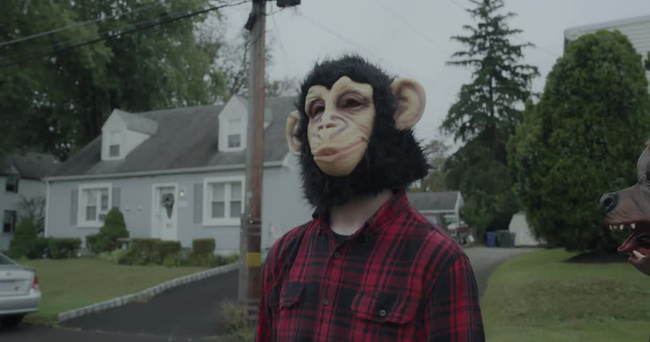 Teenagers in animal masks throw eggs at a house