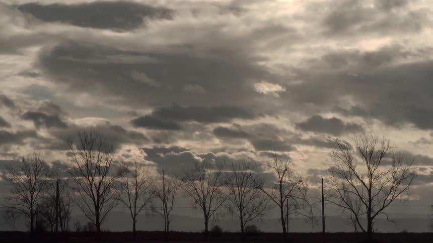 Dark clouds hover over the bare trees