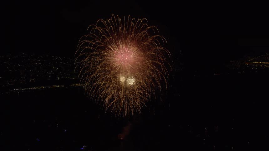 Fireworks explode in a dark night sky