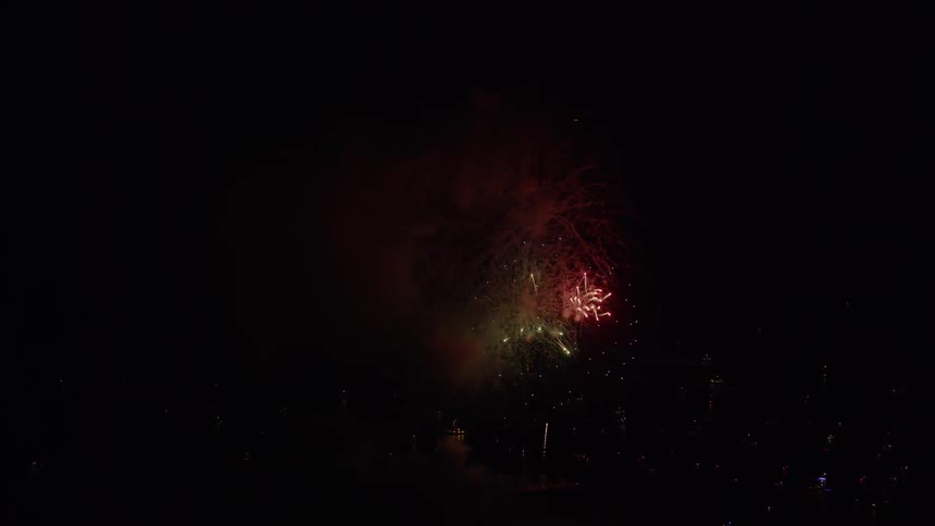 Fireworks explode in the dark sky