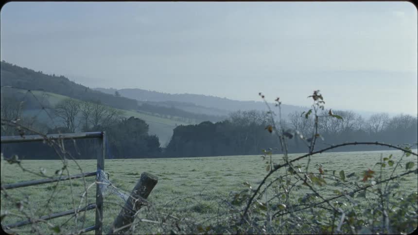 A gnarled fence and a wide green pasture with hills nearby