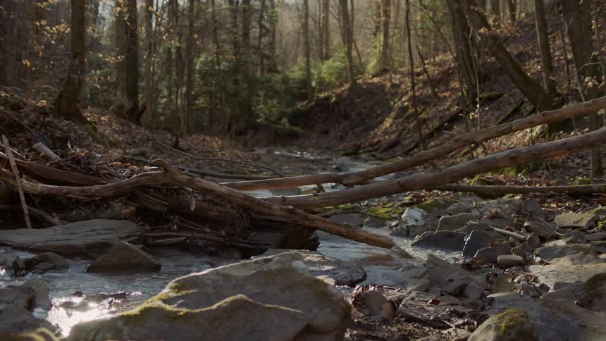 Water flows gently down a stream